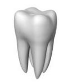 Understanding stomatology. Dental care.